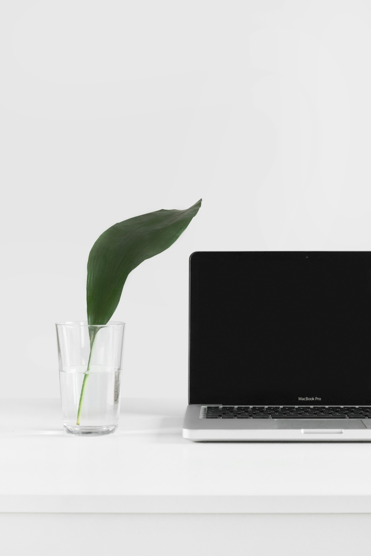 How Linda Turned Her Passion into Success